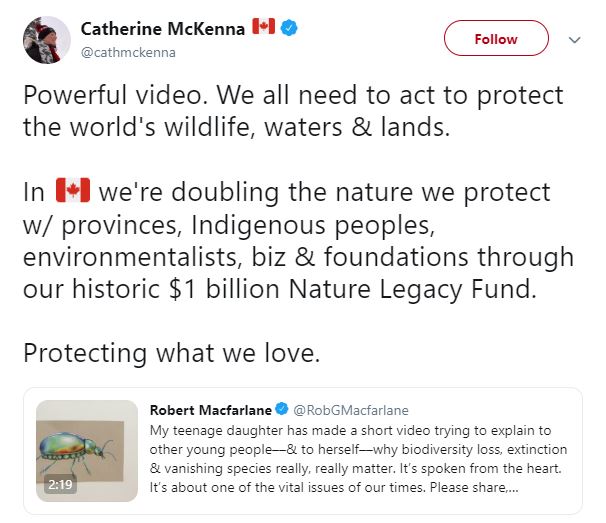 Catherine McKenna tweet about Lily's video