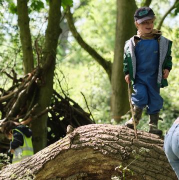Dame Bradbury's Forest School