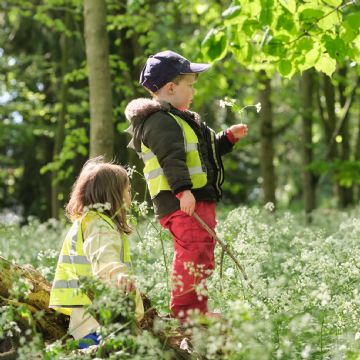 Dame Bradbury's Forest School