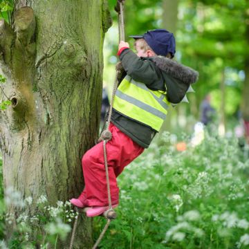 Dame Bradbury's Forest School