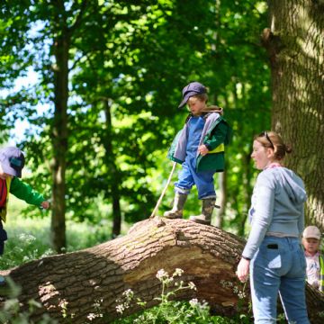 Dame Bradbury's Forest School