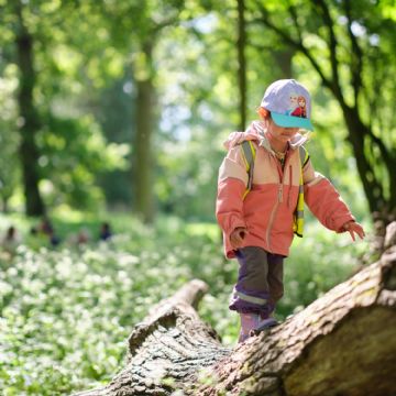 Dame Bradbury's Forest School