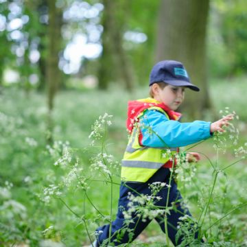 Dame Bradbury's Forest School