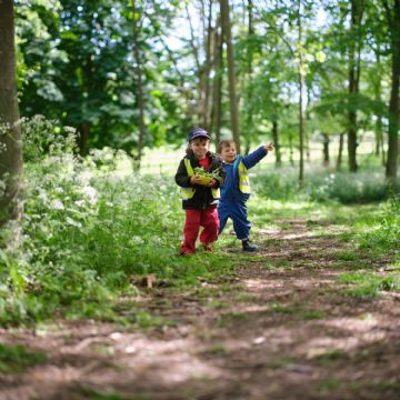 Dame Bradbury's Forest School